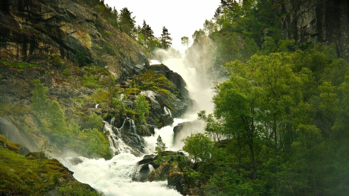 водопад лес горы туман фото