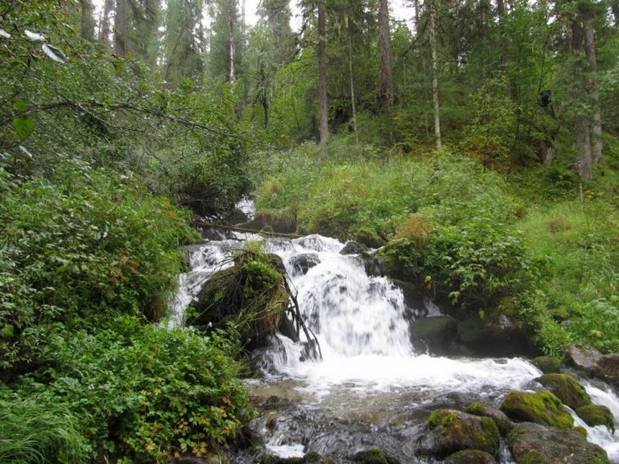 водопад шумилиха фото