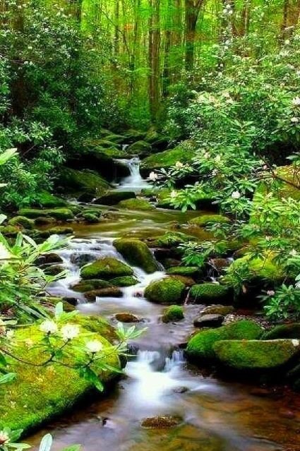 водопад в лесу картинки фото