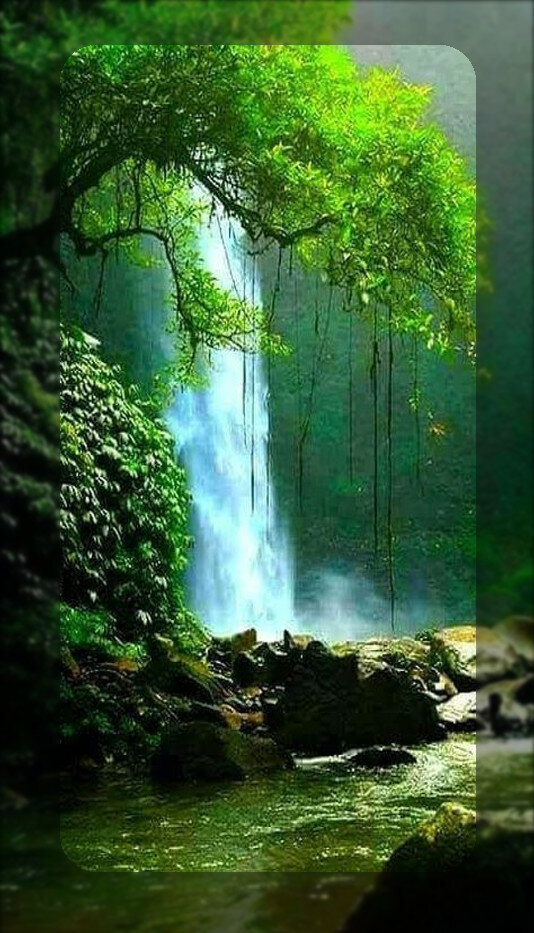 водопад в лучах лес фото