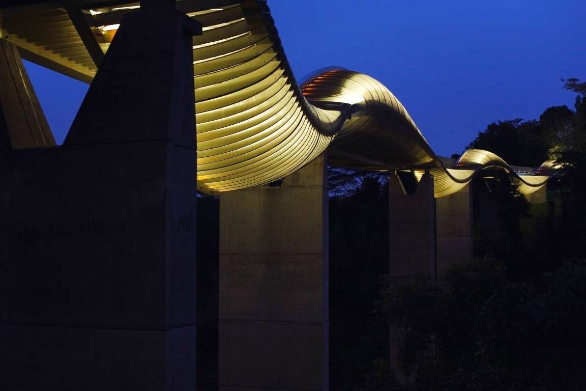 волны хендерсона (henderson waves bridge), сингапур фото