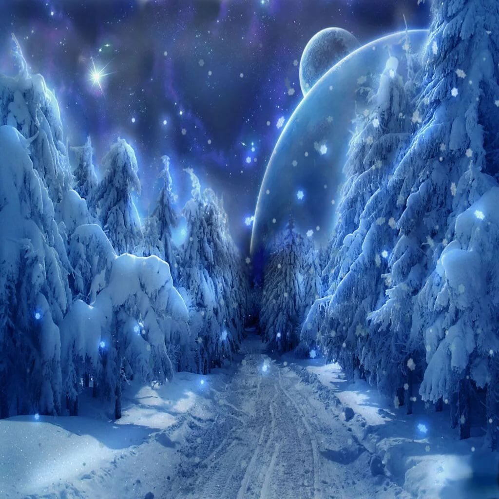 волшебный зимний лес фото