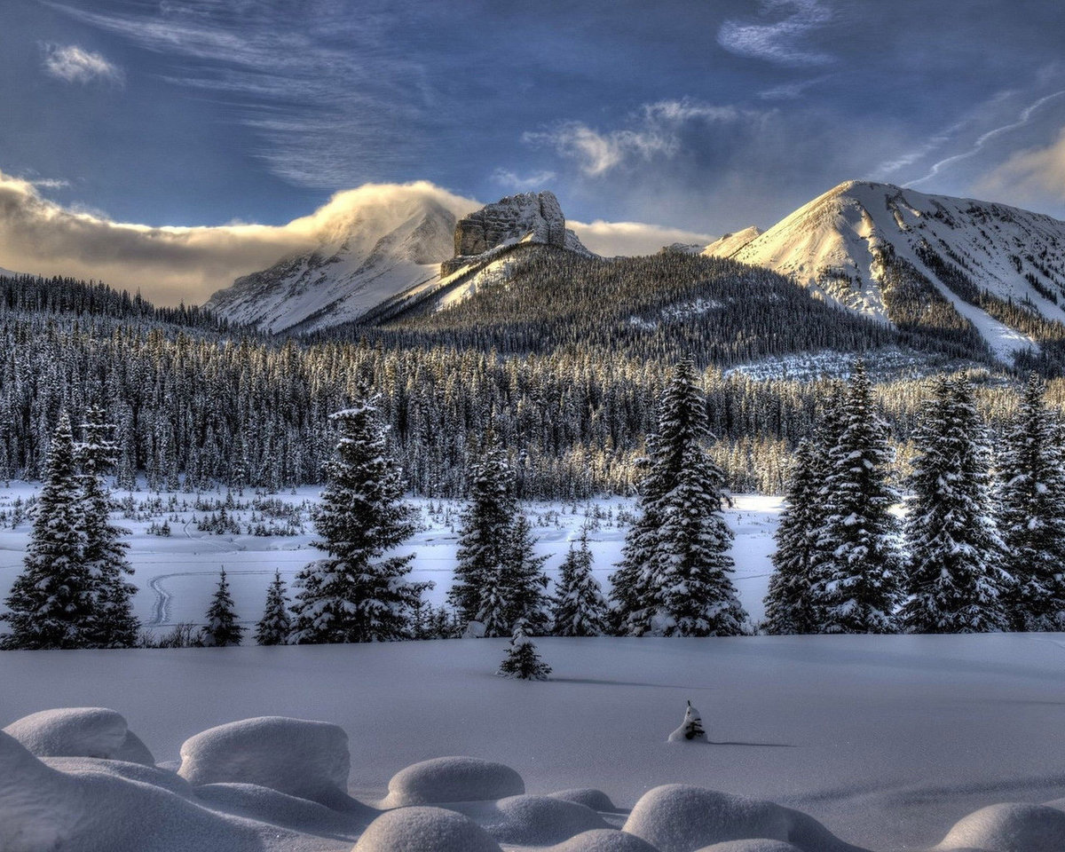 winter snow wallpaper 1024x768 фото