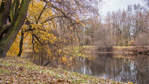 яуза осень фото