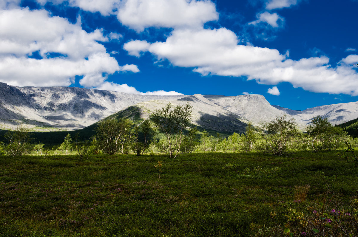 южно-чуйский хребет алтай фото