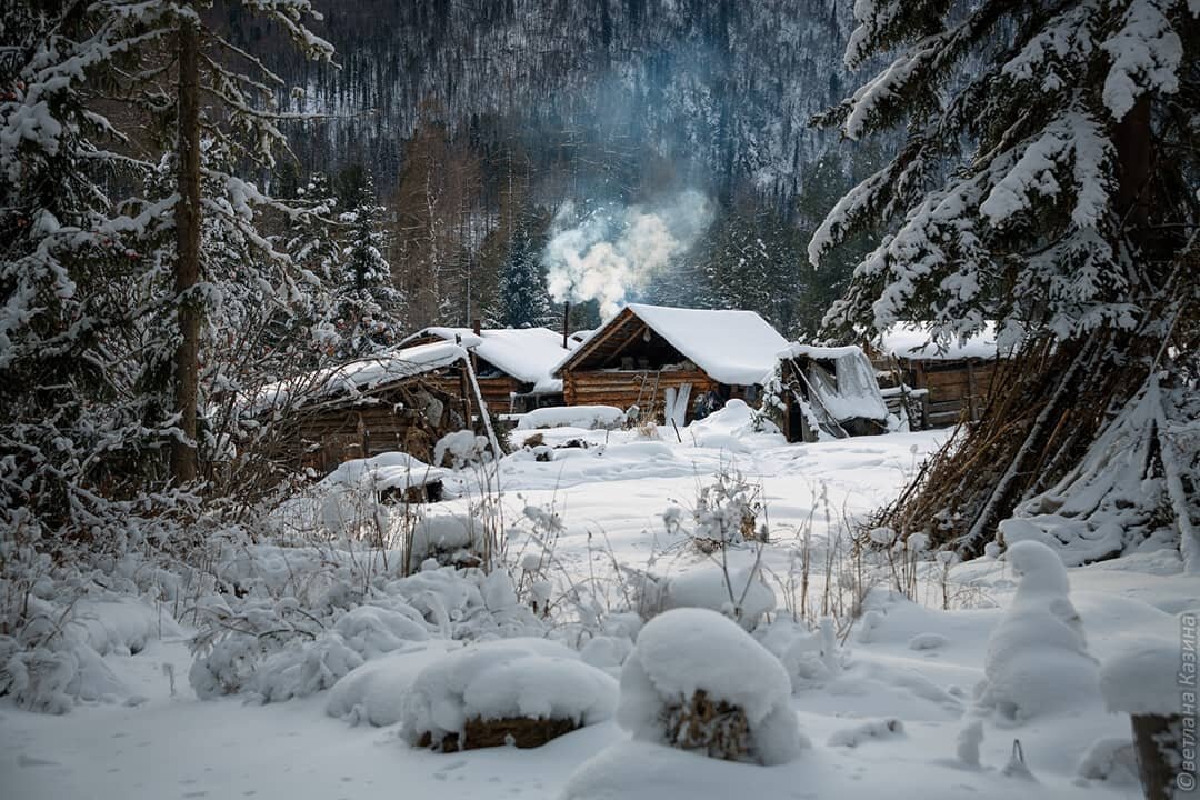 заимка агафьи лыковой фото 2018 фото