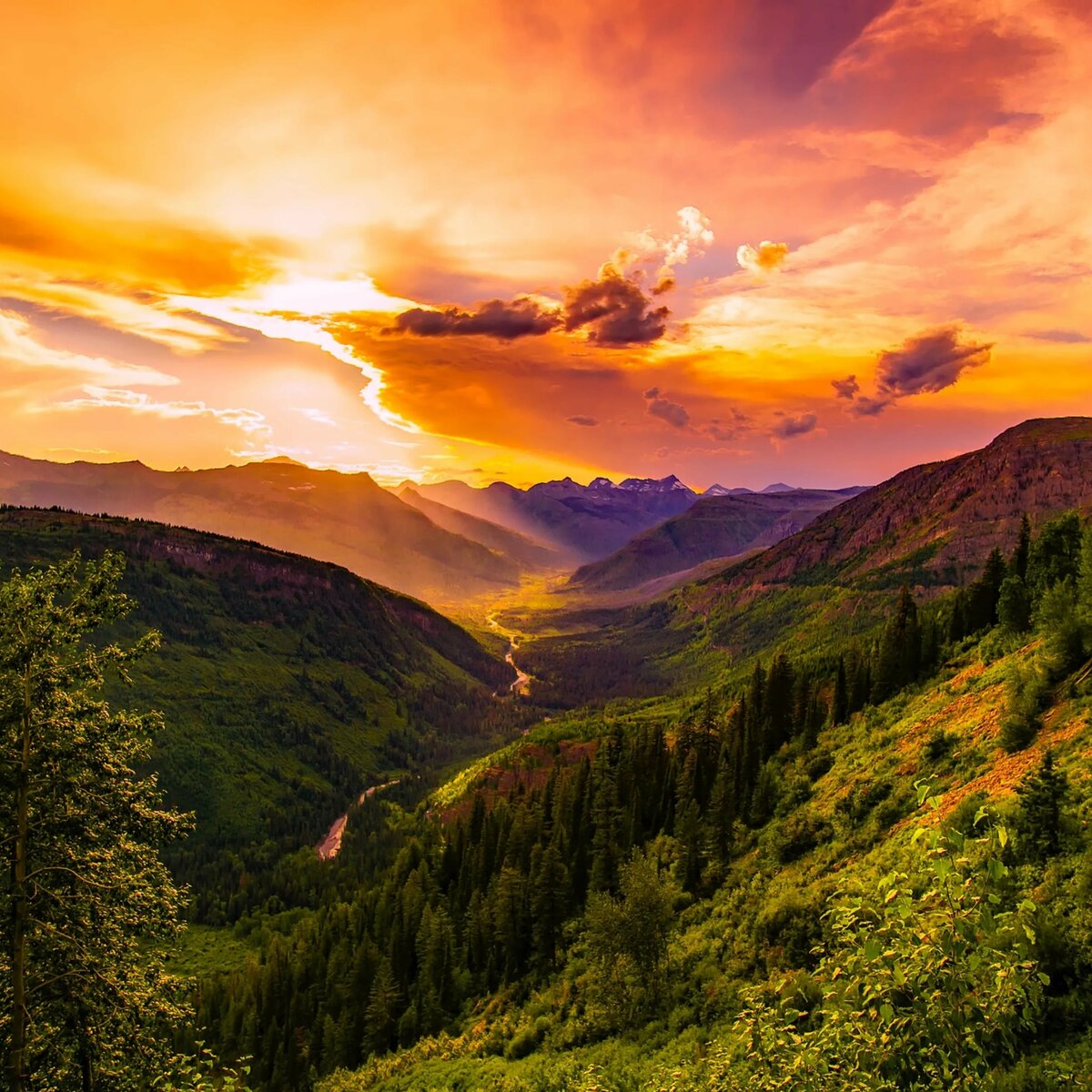 закат горы лес фото
