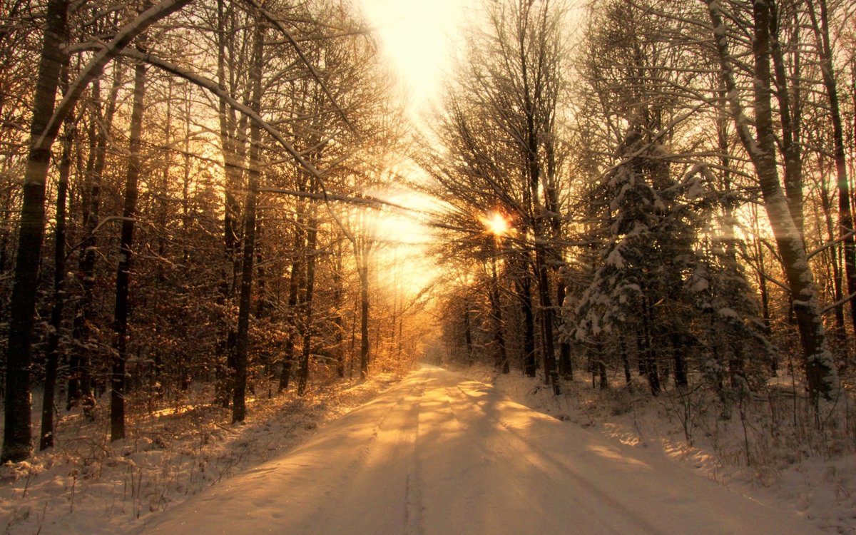 закат в зимнем лесу фото