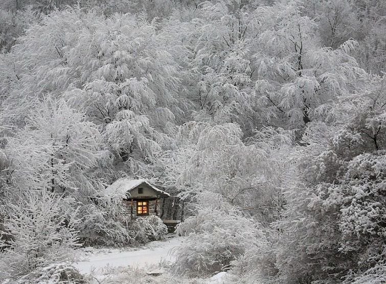 заснеженный домик в лесу фото