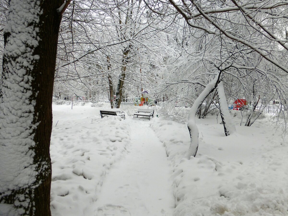 заснеженный двор зима фото