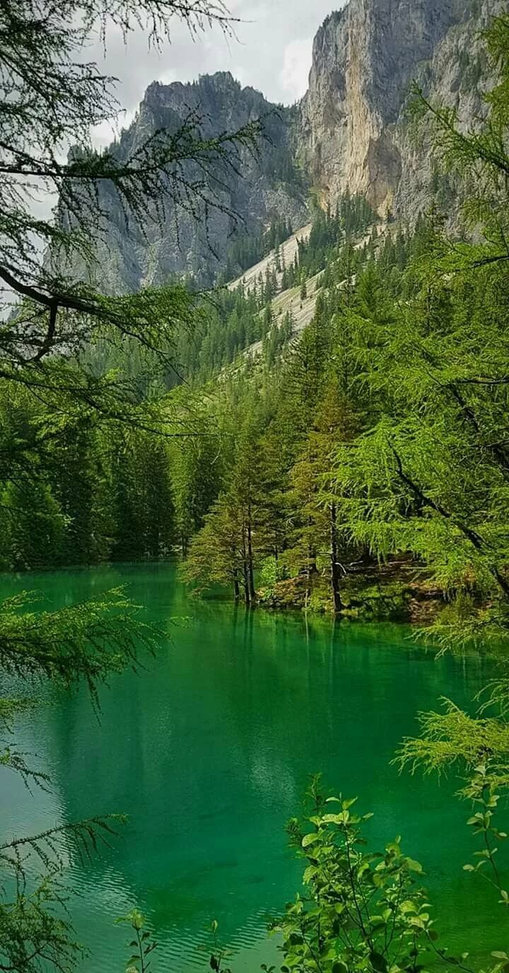 зеленое озеро (grüner see фото
