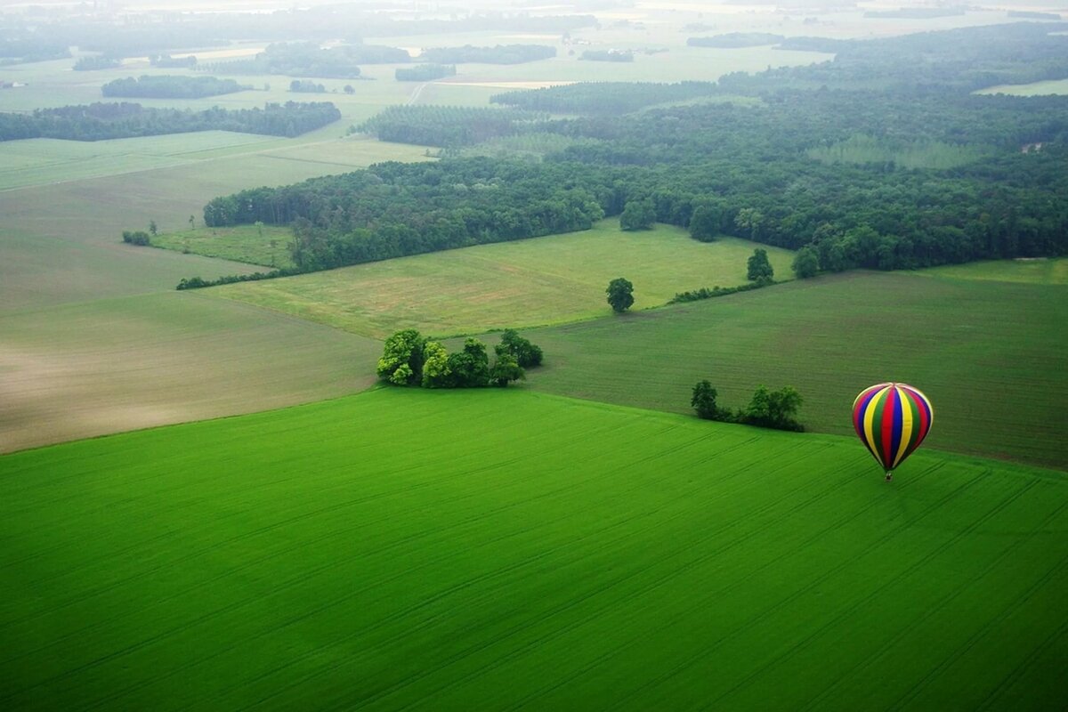 зеленое поле фото