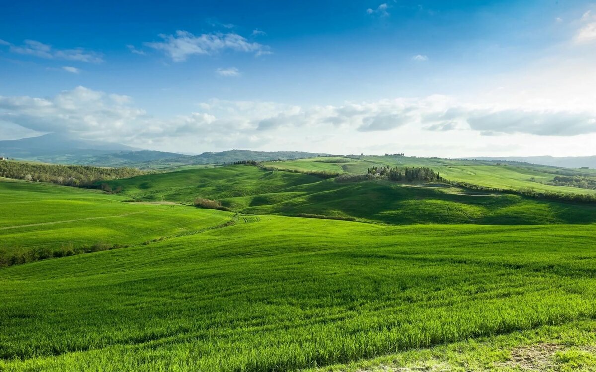 зеленое поле с горами фото