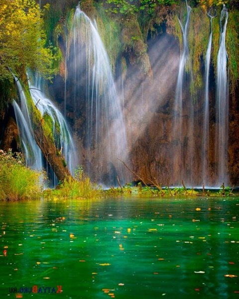 живые обои водопад фото