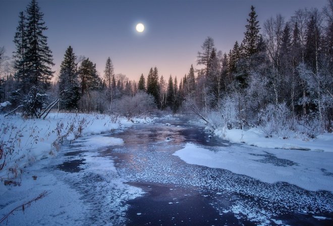 зима лес река фото
