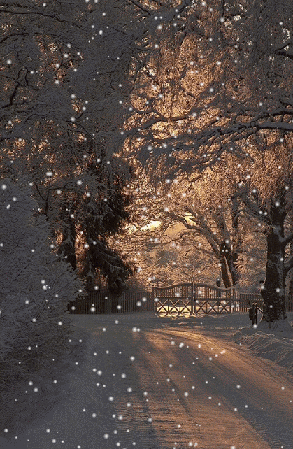 зима ночь снег фото москва фото