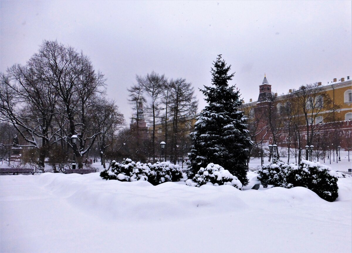 зима снег фото