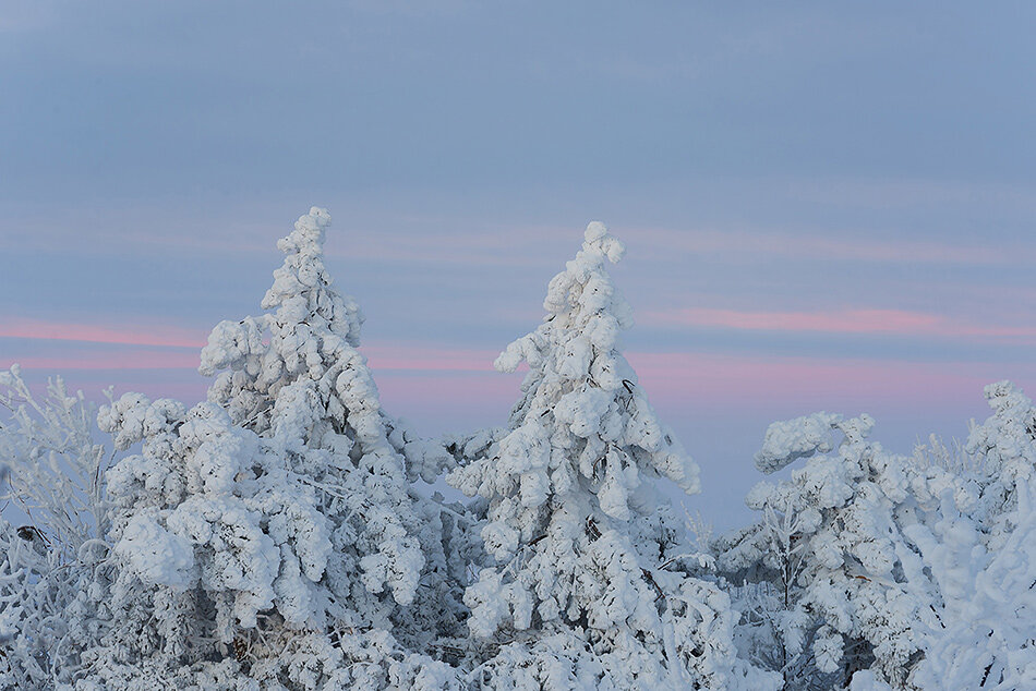 зима снег россия фото