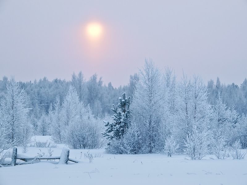 зима солнце светит фото