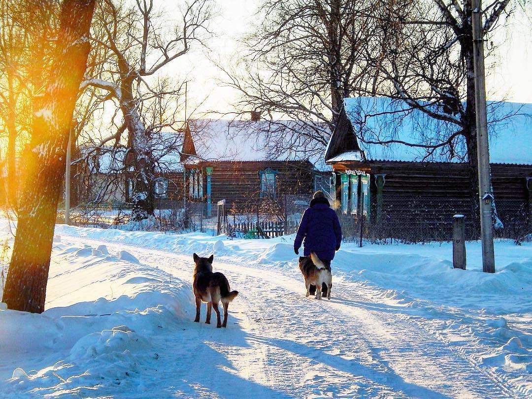 зима в деревне фото