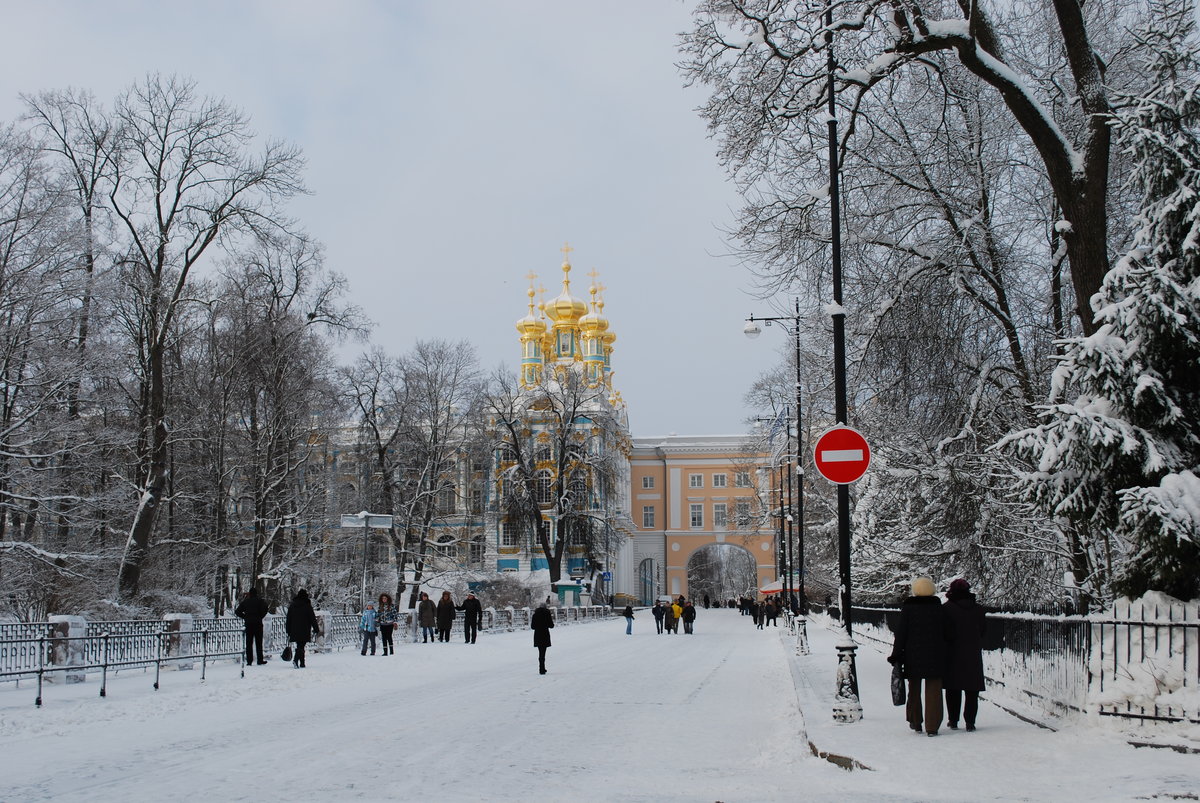 зима в пушкине 2019 фото