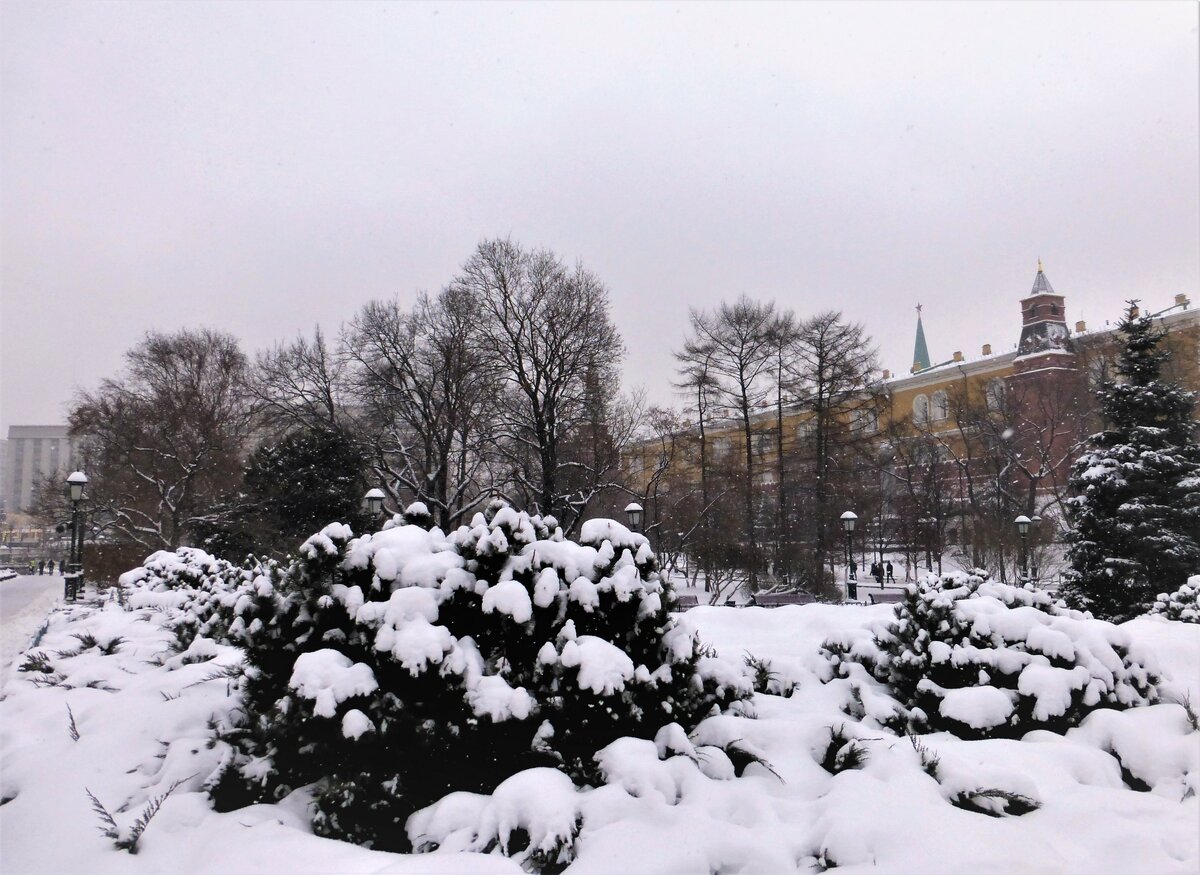 зима в рославле картинки фото