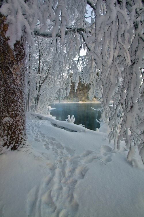 зима в сибири фото