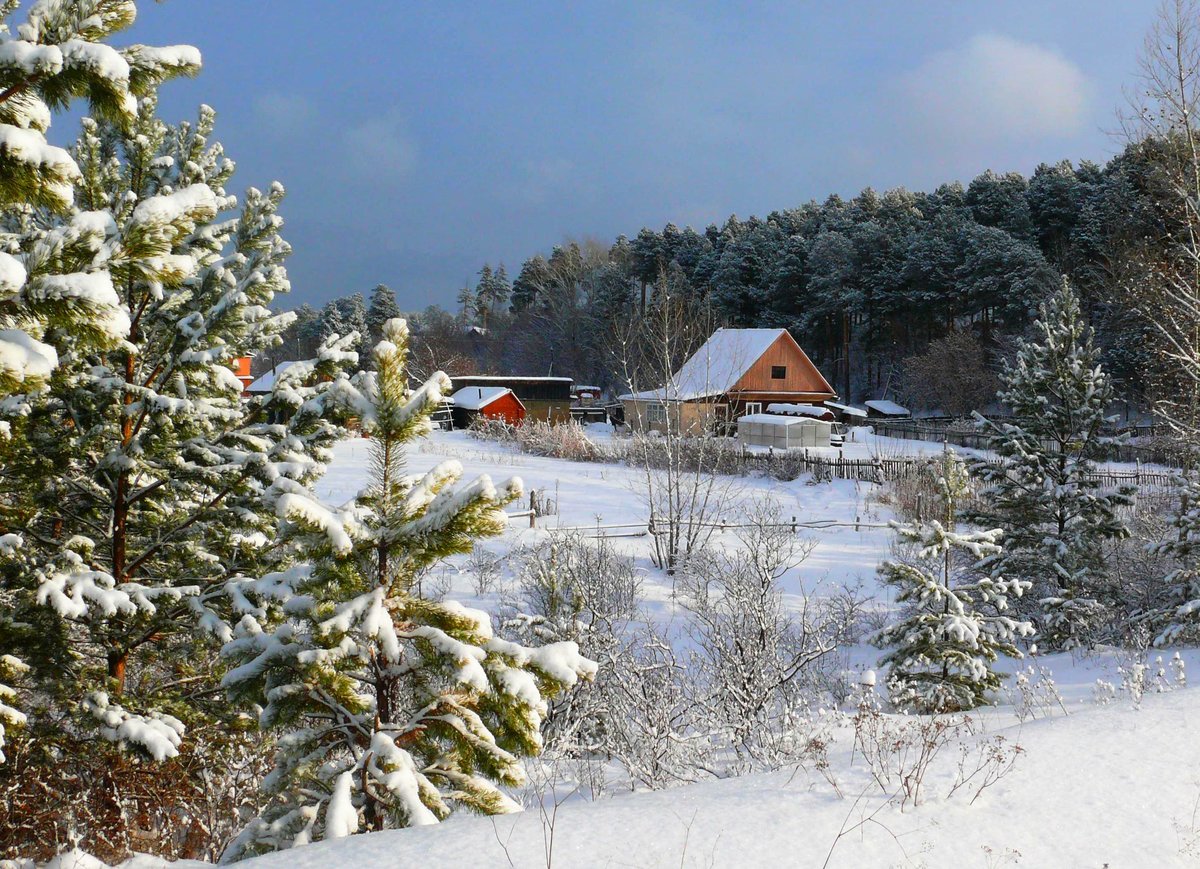 зима в сибирской деревне фото