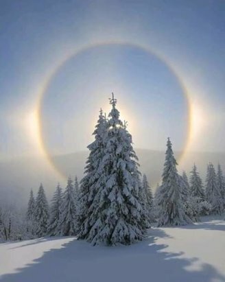 зимнее солнцестояние фото