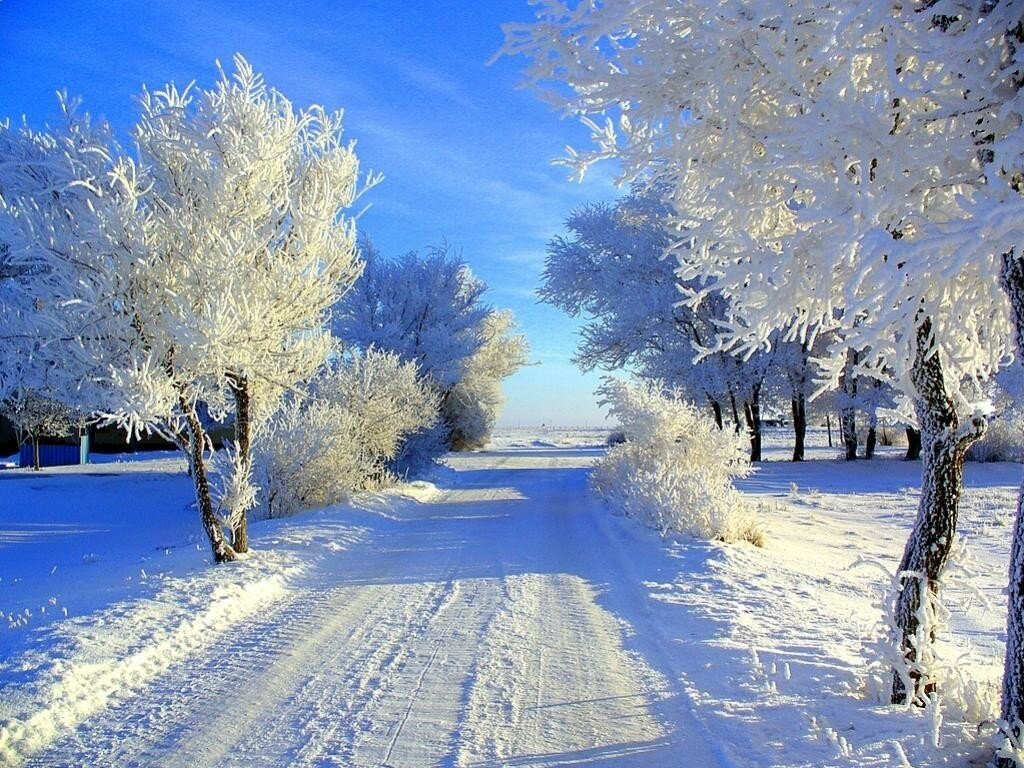 зимнее утро картинки красивые фото