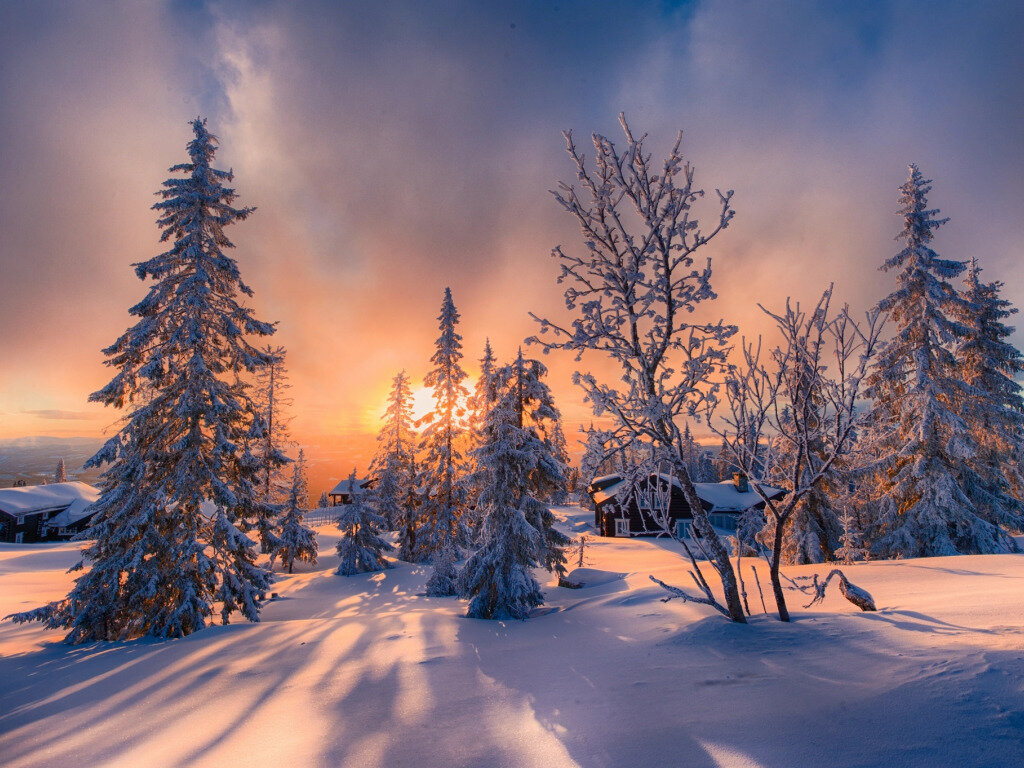 зимние пейзажи фото