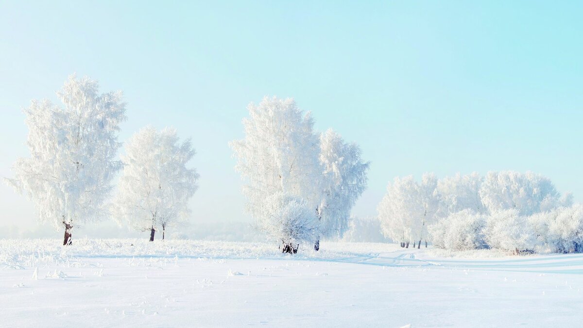 зимние пейзажи фото