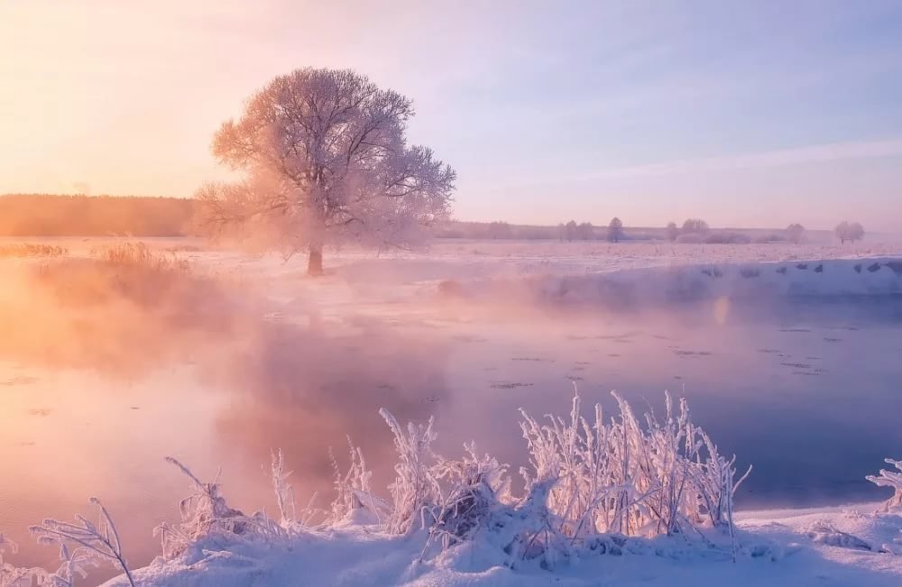 зимние пейзажи фото утро фото