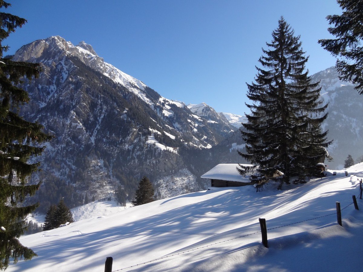 зимний горный пейзаж фото