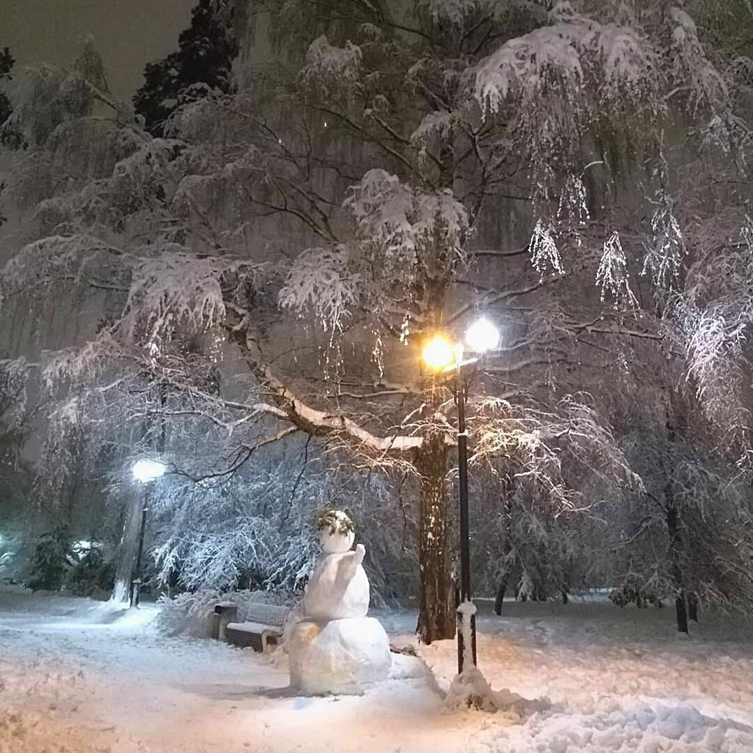 зимний парк фото