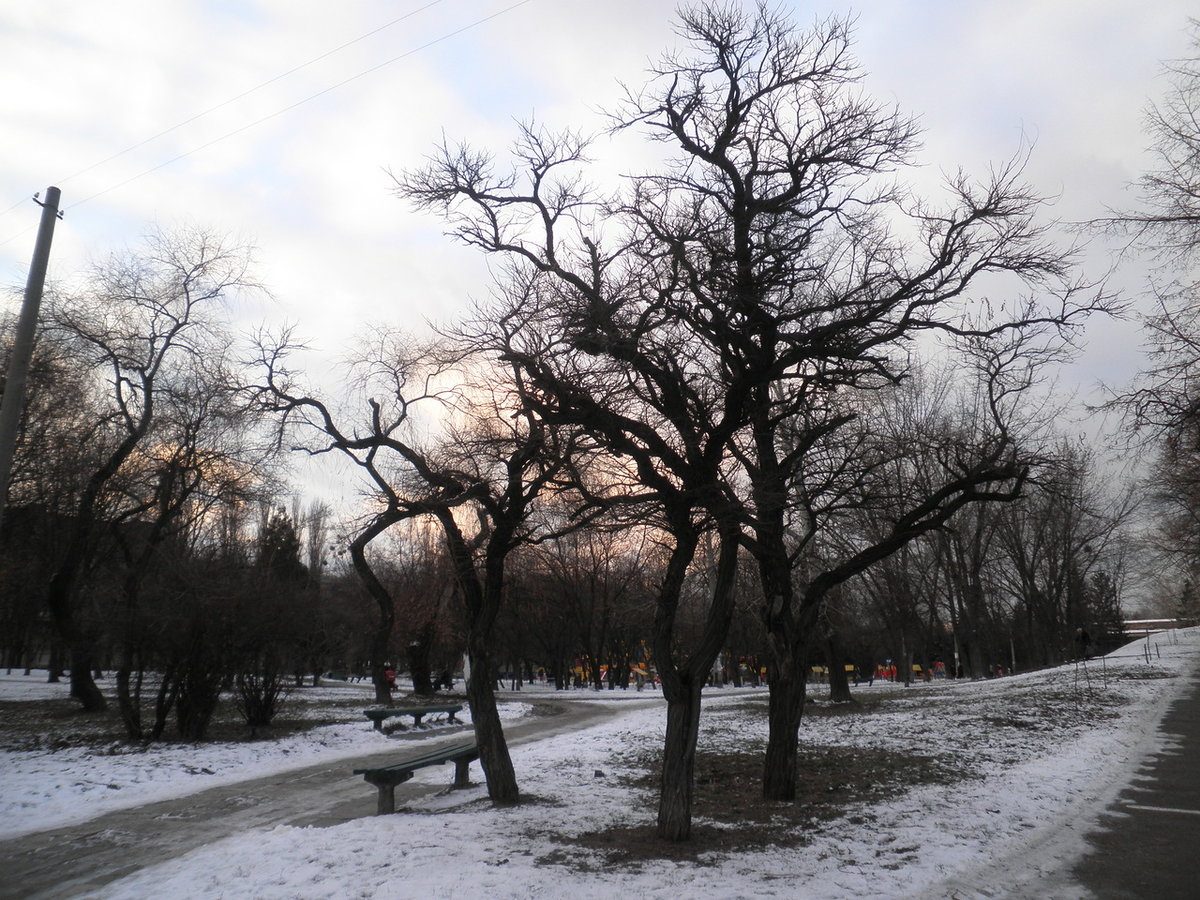 зимний парк в омске фото