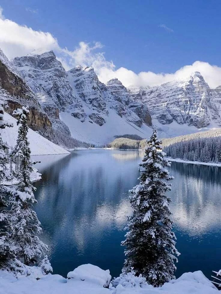 зимний пейзаж фото высокого качества фото