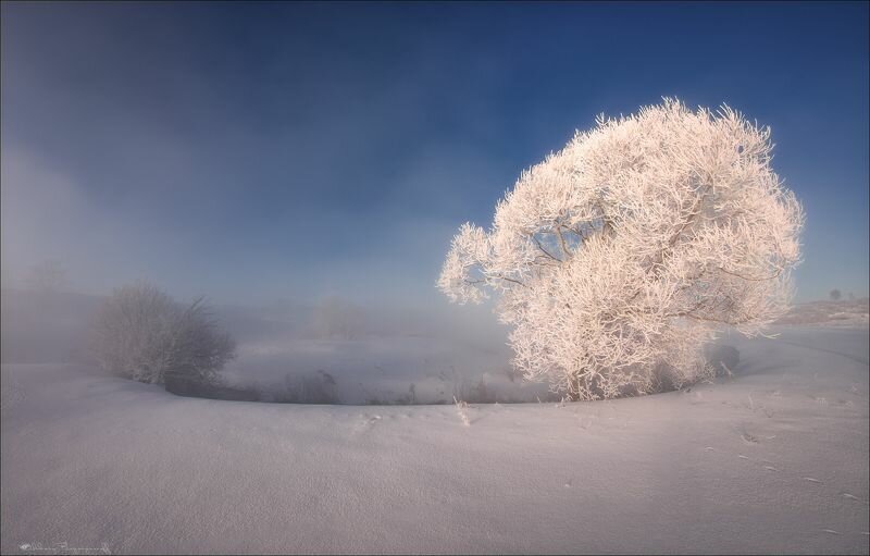 зимний пейзаж иней фото