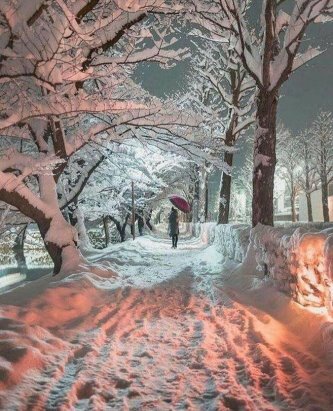 зимний пейзаж парк фото