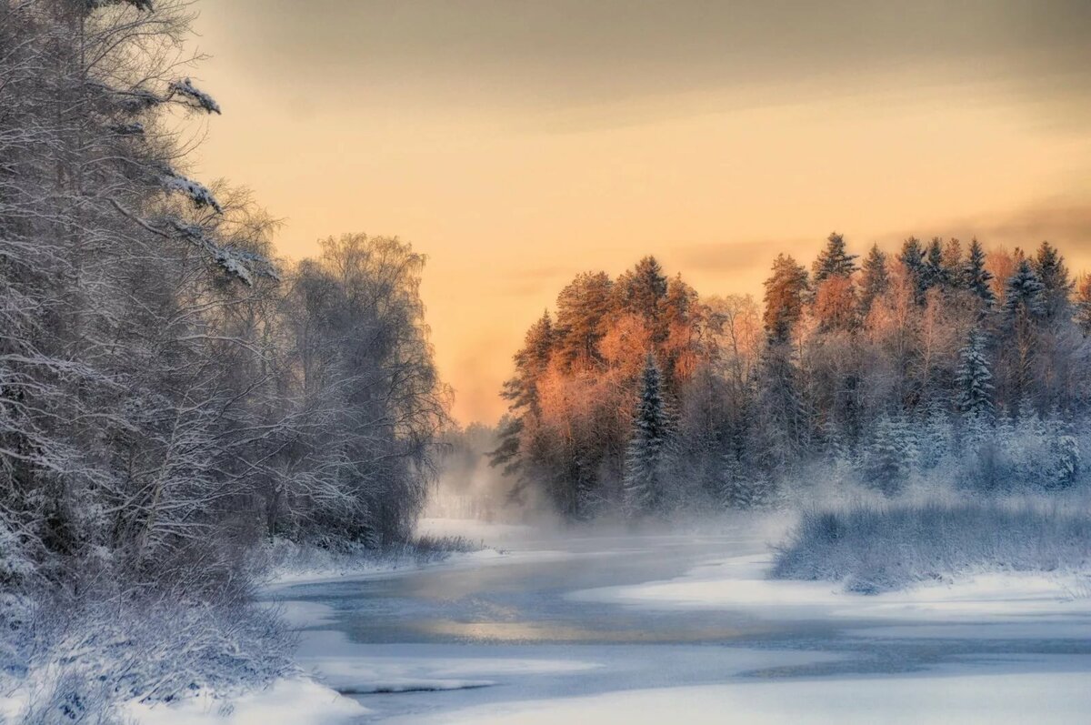 зимний пейзаж туман фото