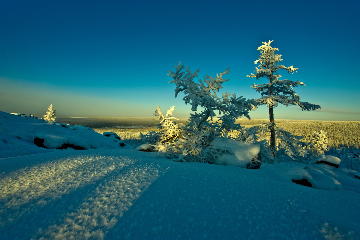зимний пейзаж якутия фото