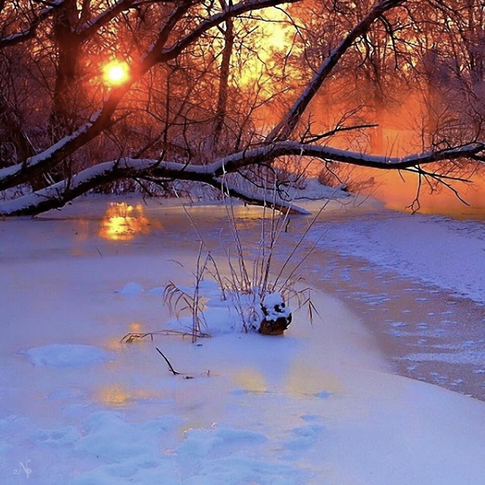 зимний вечер пейзаж фото