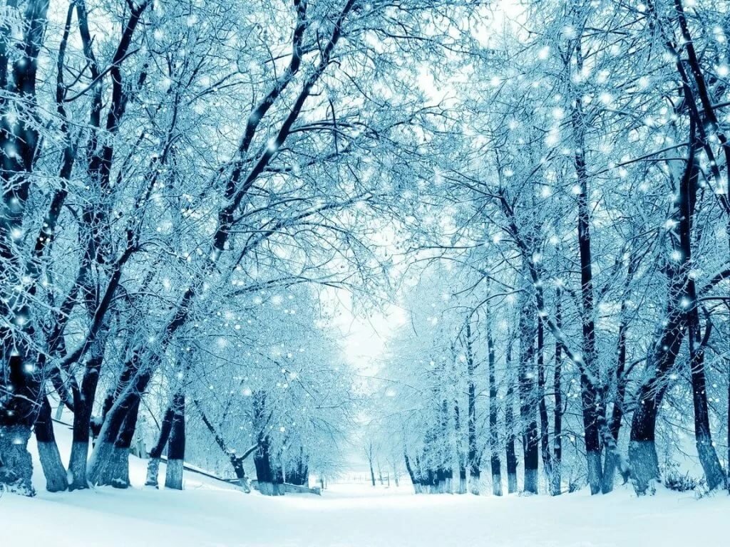 зимняя аллея обои фото