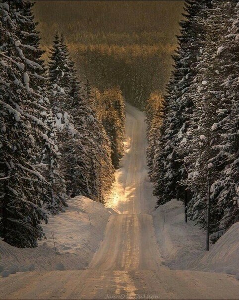 зимняя дорога фото