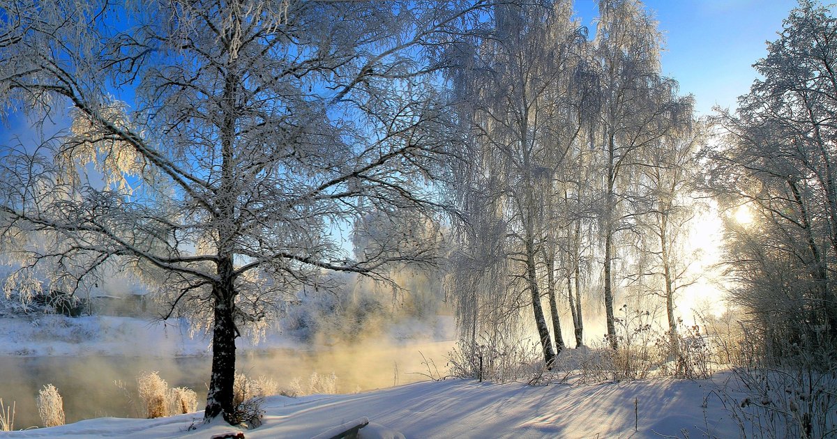 зимняя природа анимация фото