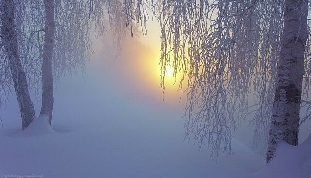 зимняя тишина картинки фото