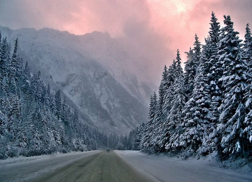 зимой дорога лес горы фото