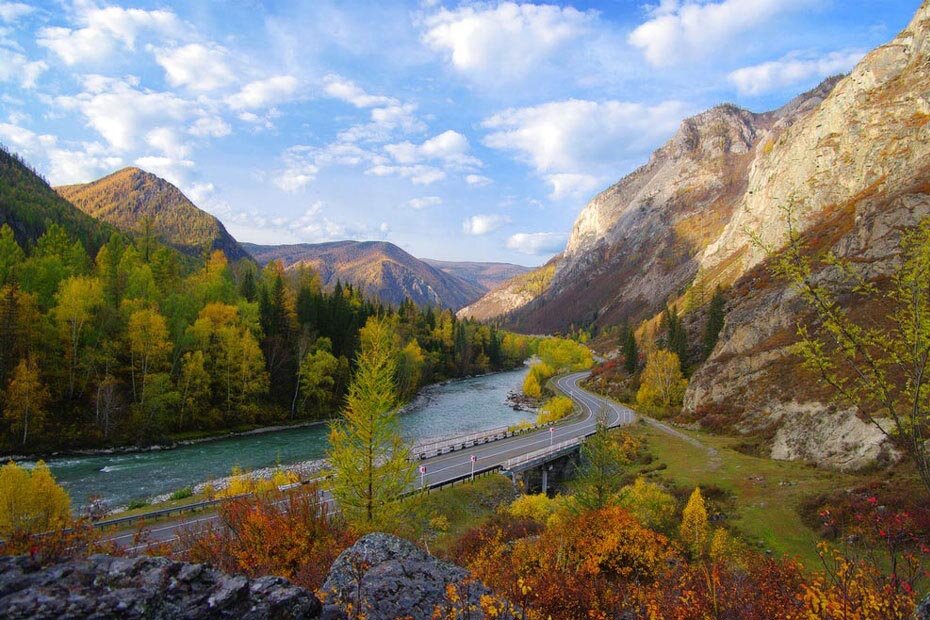Золотые горы Алтая фото