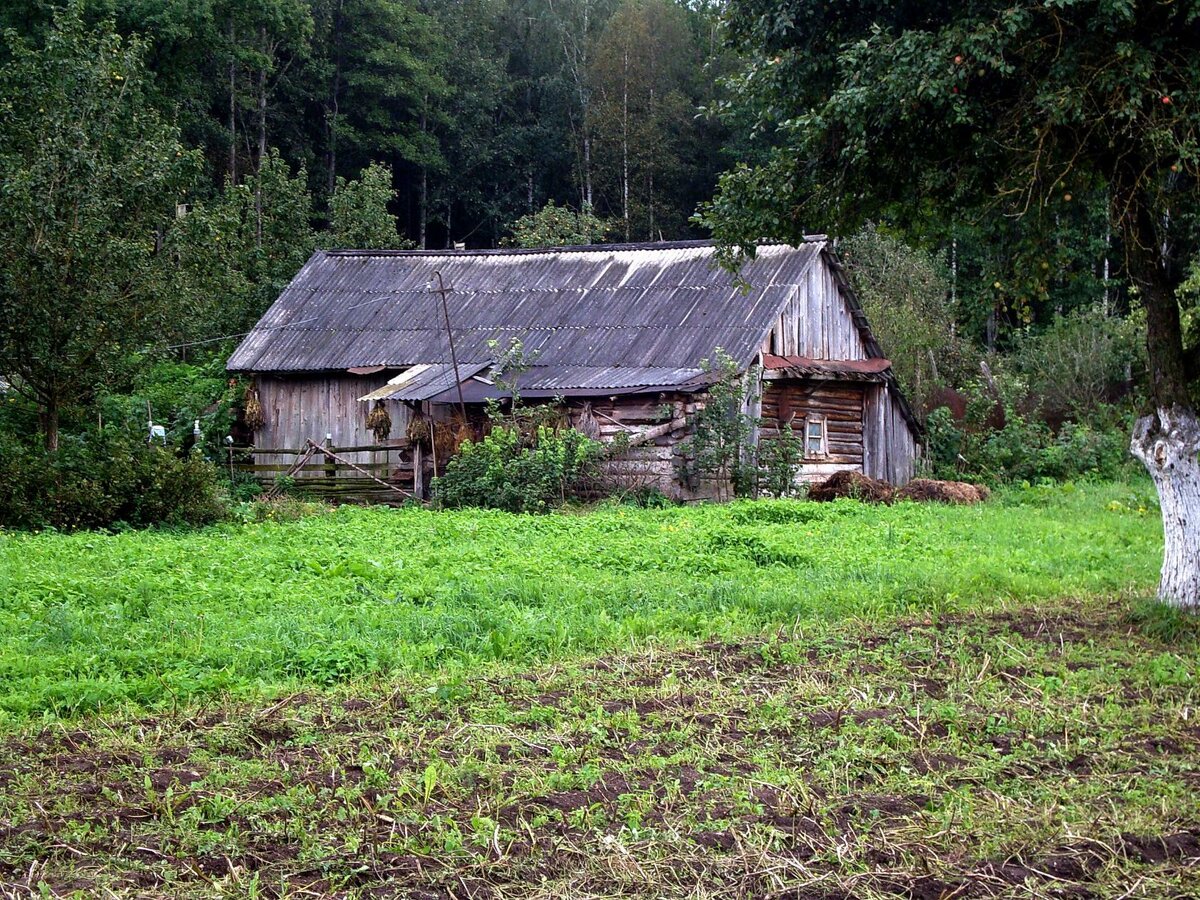 амбар в деревне фото