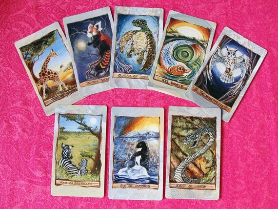animism tarot фото